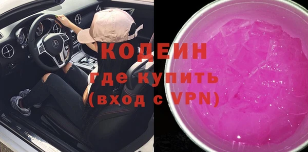 прущий лед Вяземский