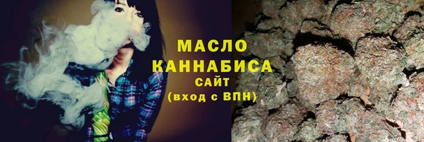 прущий лед Вяземский